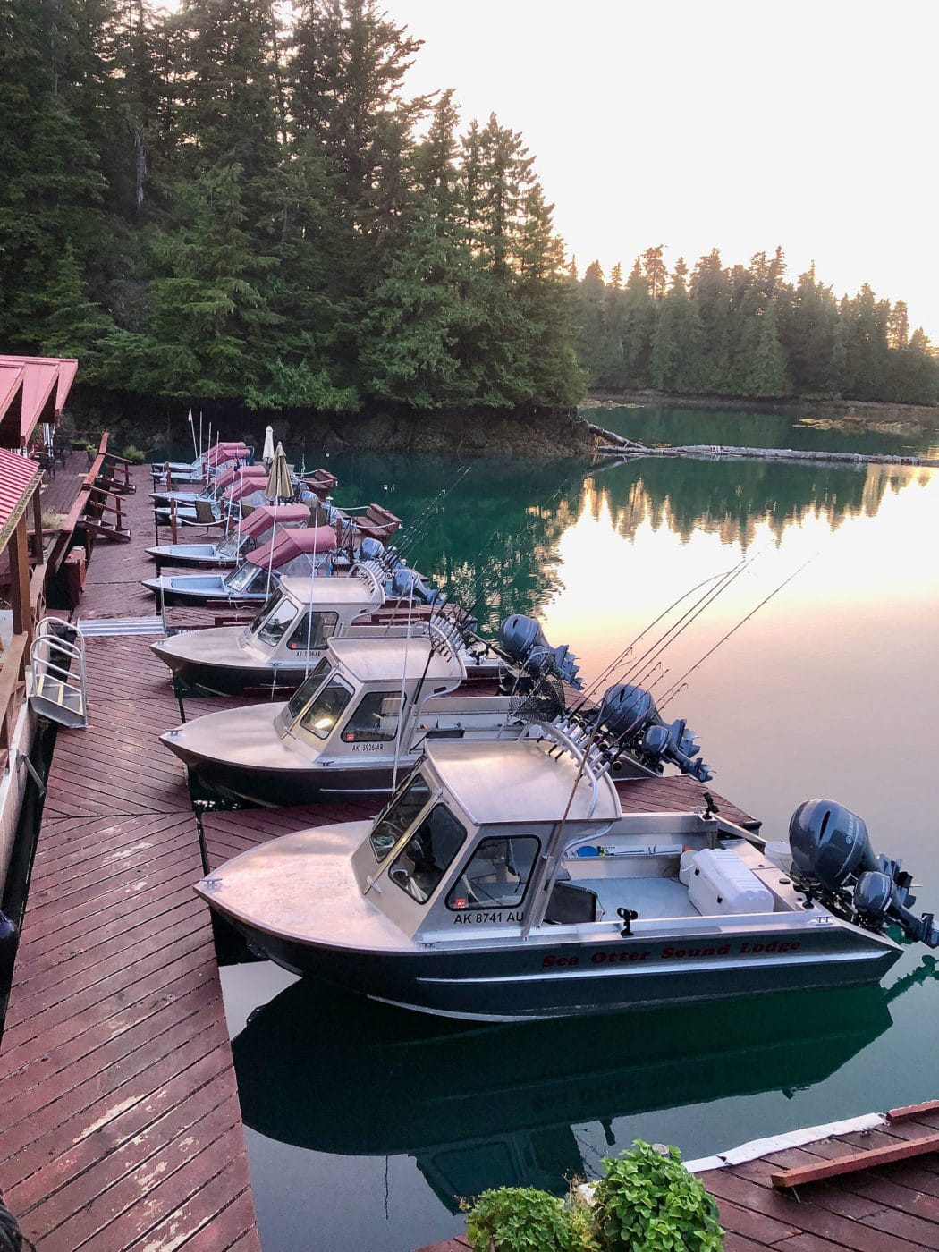 Alaska's Flyin Fishing Lodge
