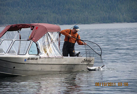 Guest nets salmon off the fishing boat.