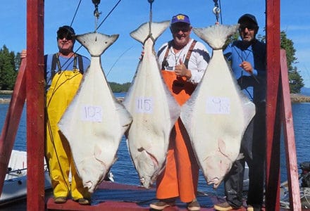 Three guests pose with their three 100 pound plus halibuts.