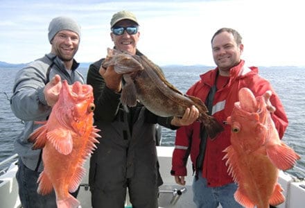 Three guests show off yelloweye rockfish and ling cod catch.
