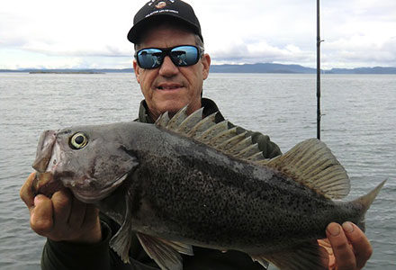 Guest holds a nice black rockfish on the fishing boat.