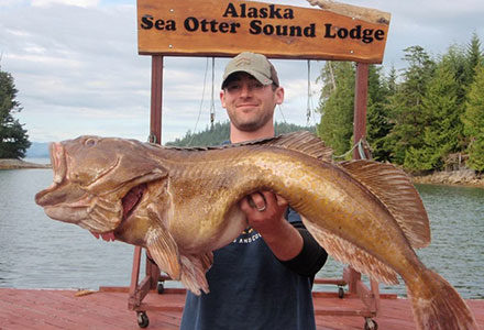 Guest holds his monster ling cod catch.