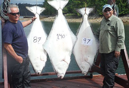 Guests pose with their trio of halibut - 87 pounds, 140 pounds and 97 pounds.
