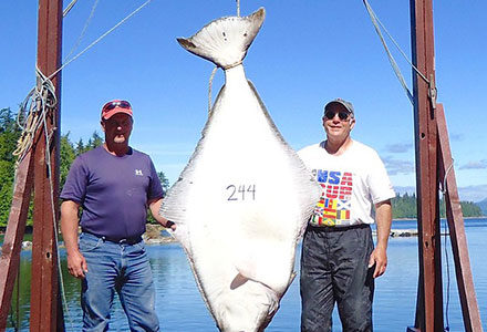 Two guests stand next to a 244 pound halibut.