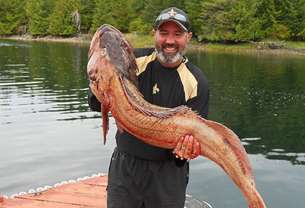 A guest holds a monster ling cod on the dock.