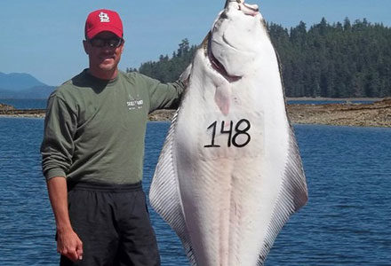 A guest poses with his hanging 148 pound halibut catch.