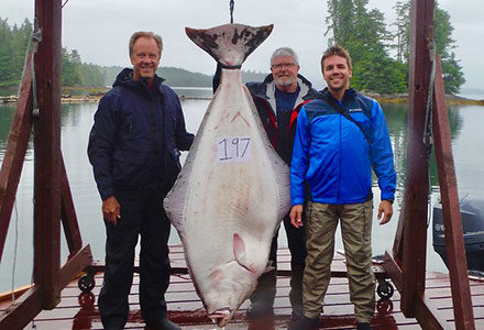 Group of guests pose with their 197 pound halibut catch.