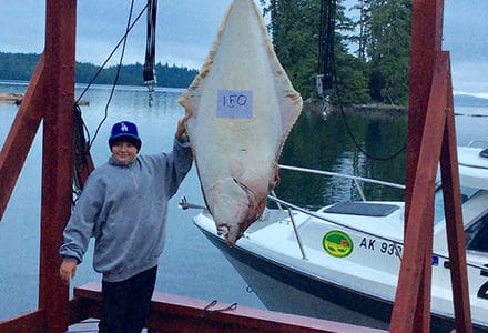 Young guest poses with a hanging 150 pound halibut.