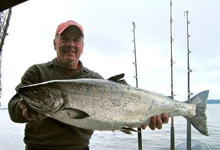 Guest holds a beautiful king salmon on a fishing boat.